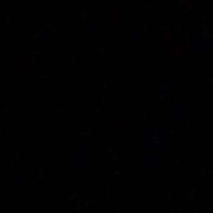 Meet your Posher, Abigail